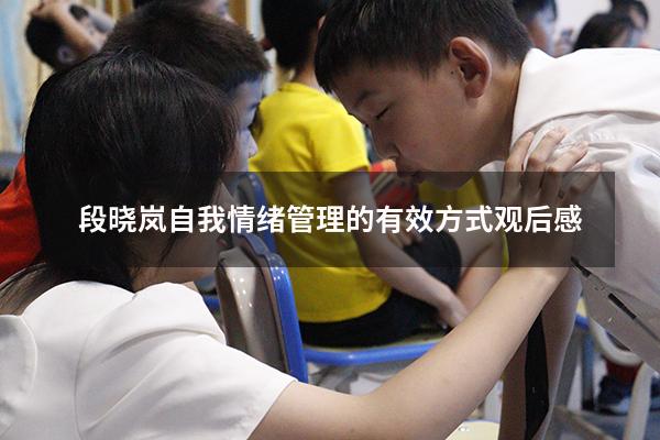 段晓岚自我情绪管理的有效方式观后感