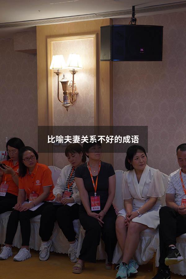比喻夫妻关系不好的成语