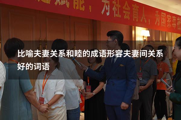 比喻夫妻关系和睦的成语（形容夫妻间关系好的词语）