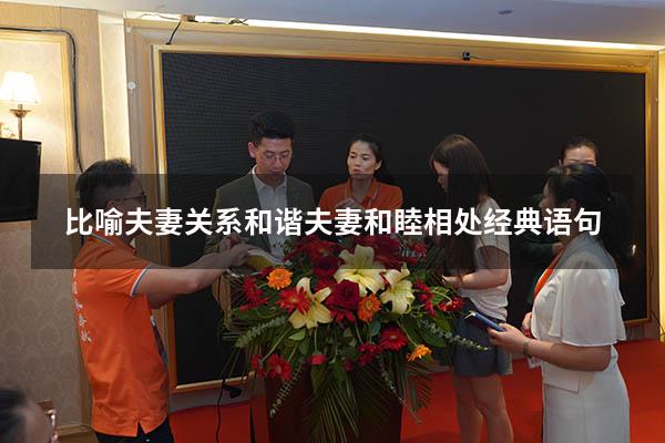 比喻夫妻关系和谐（夫妻和睦相处经典语句）