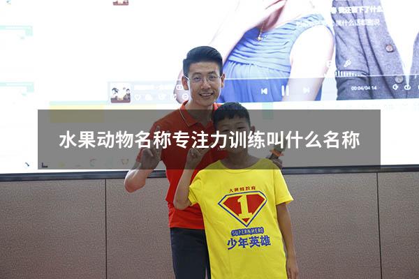水果动物名称专注力训练叫什么名称