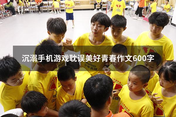沉溺手机游戏耽误美好青春作文600字
