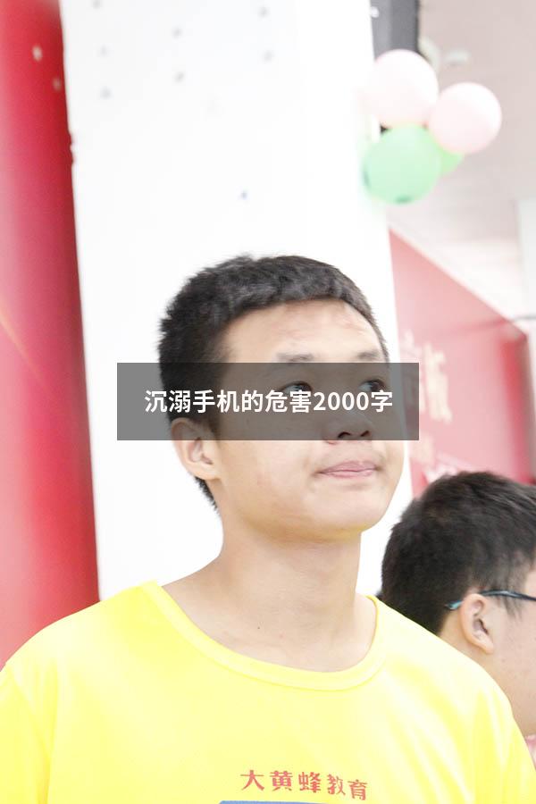 沉溺手机的危害2000字