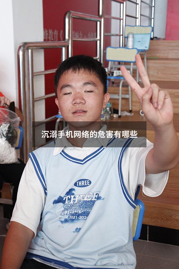 沉溺手机网络的危害有哪些