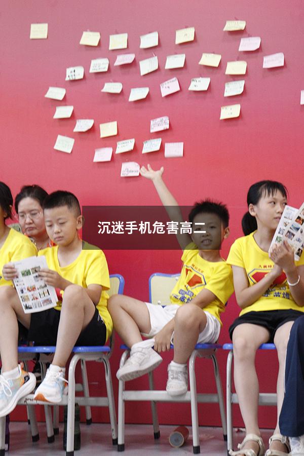 沉迷手机危害高二