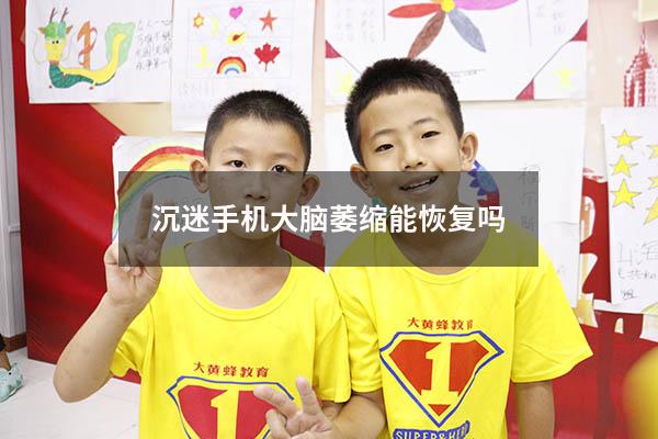 沉迷手机大脑萎缩能恢复吗