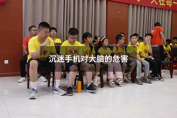 沉迷手机对大脑的危害
