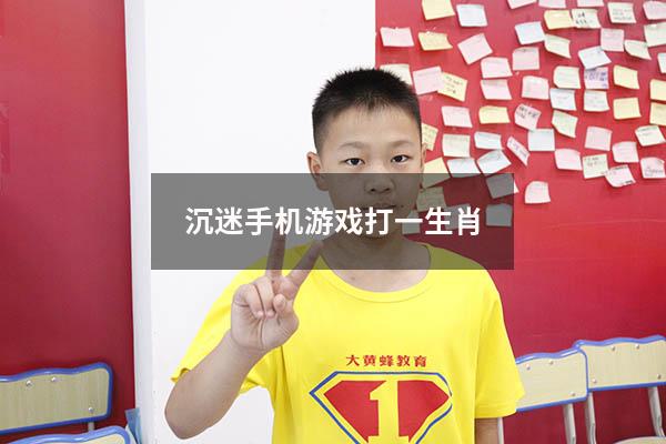 沉迷手机游戏打一生肖