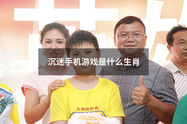 沉迷手机游戏是什么生肖