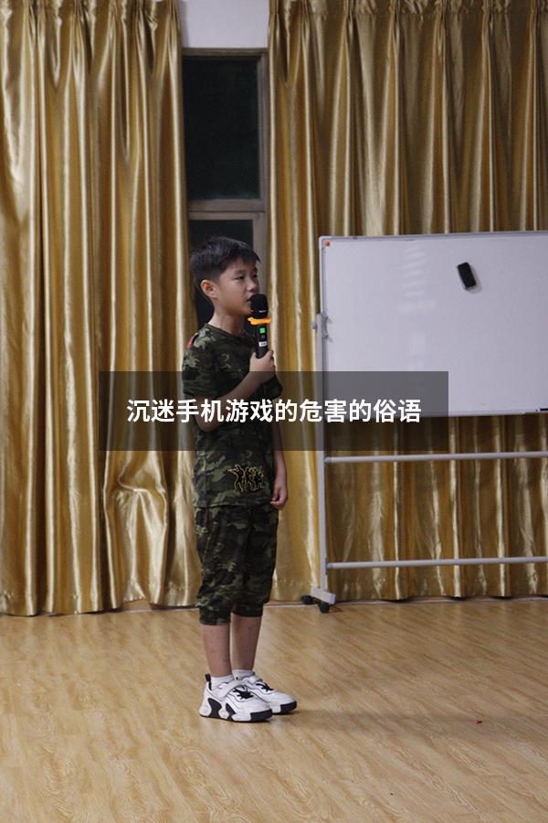 沉迷手机游戏的危害的俗语