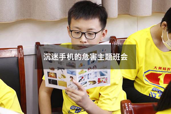 沉迷手机的危害主题班会（预防小学生沉迷网络主题班会）