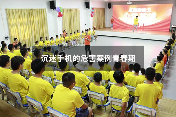 沉迷手机的危害案例青春期