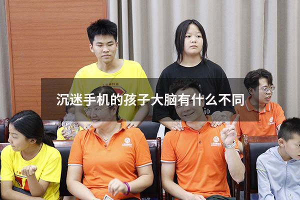 沉迷手机的孩子大脑有什么不同