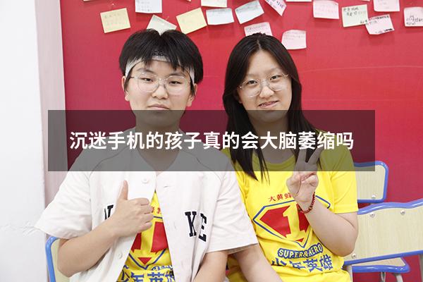 沉迷手机的孩子真的会大脑萎缩吗
