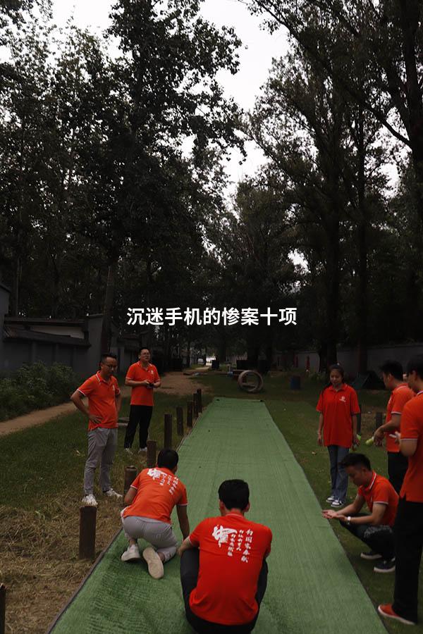 沉迷手机的惨案十项