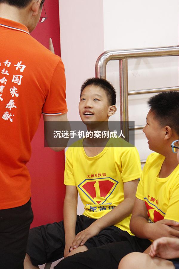 沉迷手机的案例成人