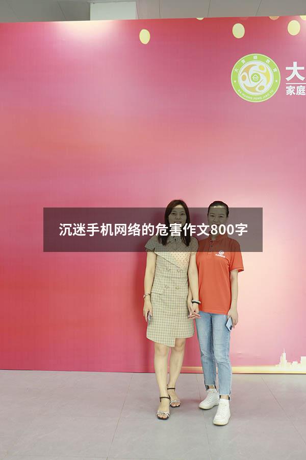 沉迷手机网络的危害作文800字