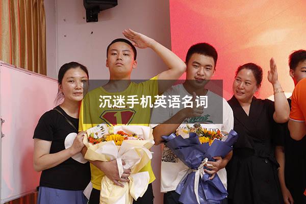 沉迷手机英语名词