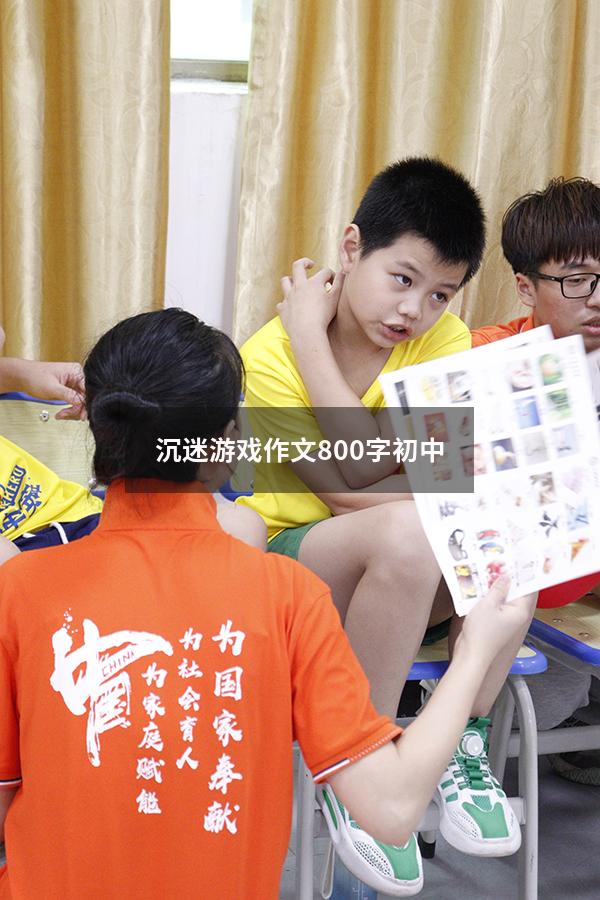 沉迷游戏作文800字初中