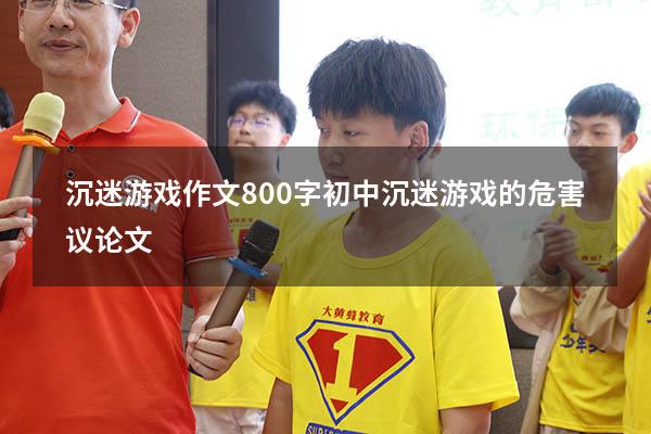 沉迷游戏作文800字初中（沉迷游戏的危害议论文）