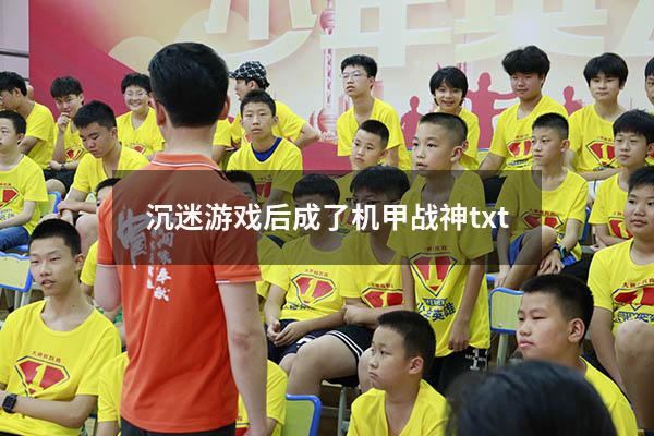 沉迷游戏后成了机甲战神txt