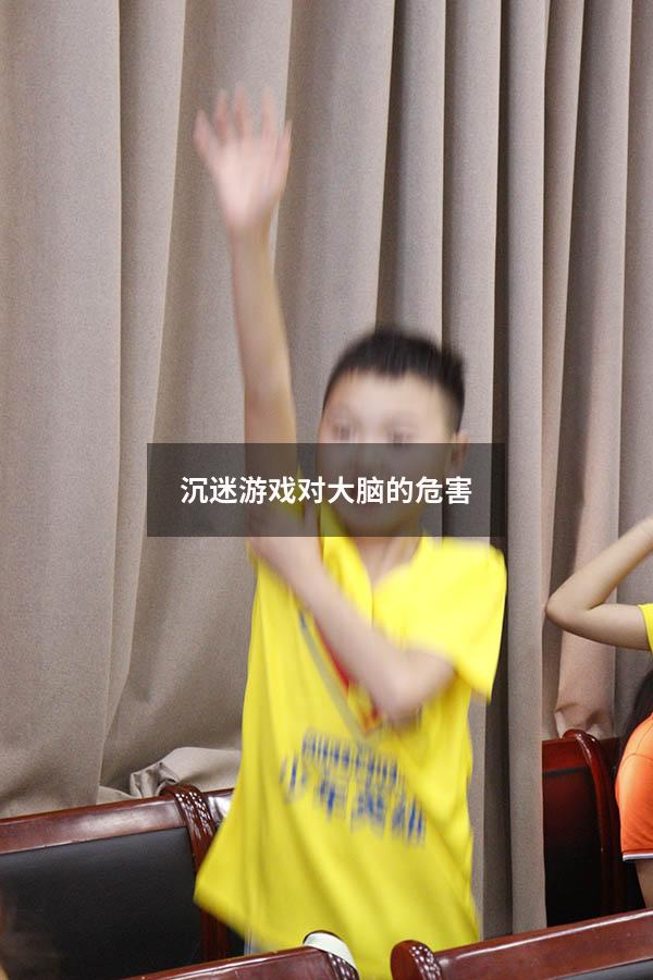 沉迷游戏对大脑的危害