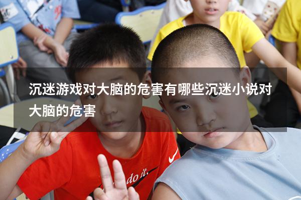 沉迷游戏对大脑的危害有哪些（沉迷小说对大脑的危害）