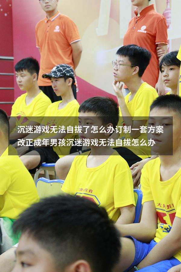 沉迷游戏无法自拔了怎么办订制一套方案改正（成年男孩沉迷游戏无法自拔怎么办）