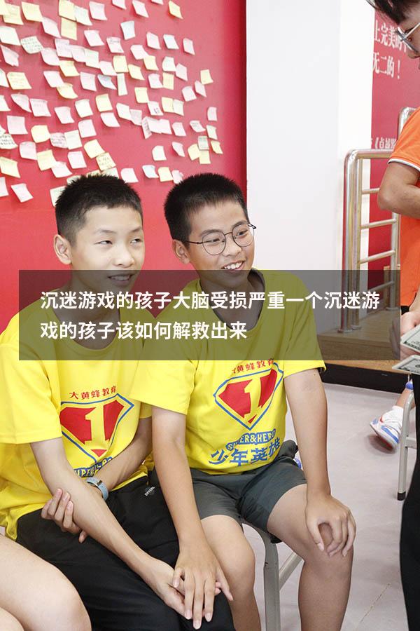 沉迷游戏的孩子大脑受损严重（一个沉迷游戏的孩子该如何解救出来）