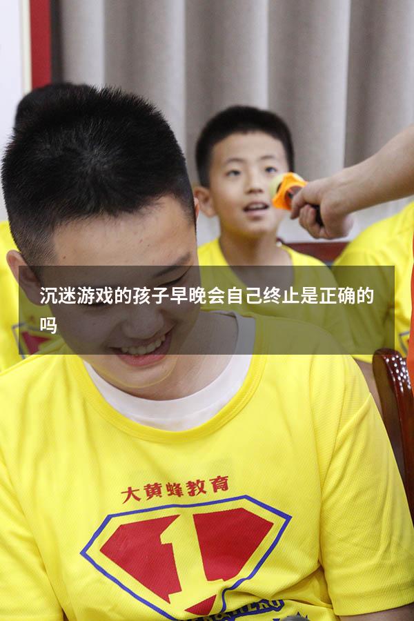 沉迷游戏的孩子早晚会自己终止是正确的吗