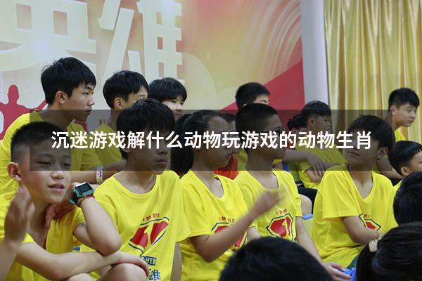 沉迷游戏解什么动物（玩游戏的动物生肖）