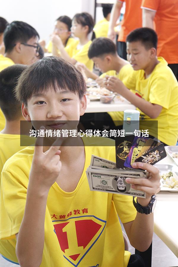 沟通情绪管理心得体会简短一句话