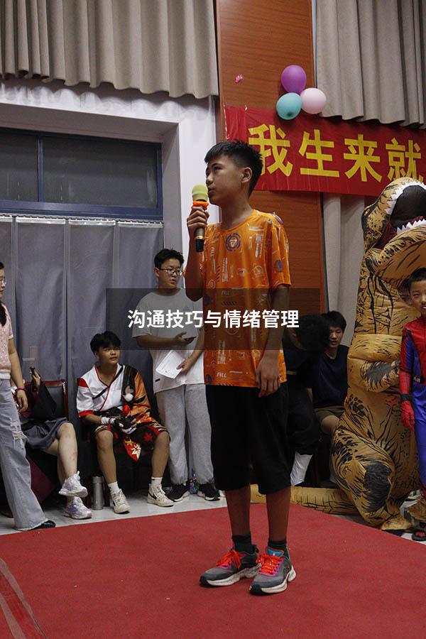 沟通技巧与情绪管理