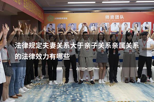 法律规定夫妻关系大于亲子关系（亲属关系的法律效力有哪些）