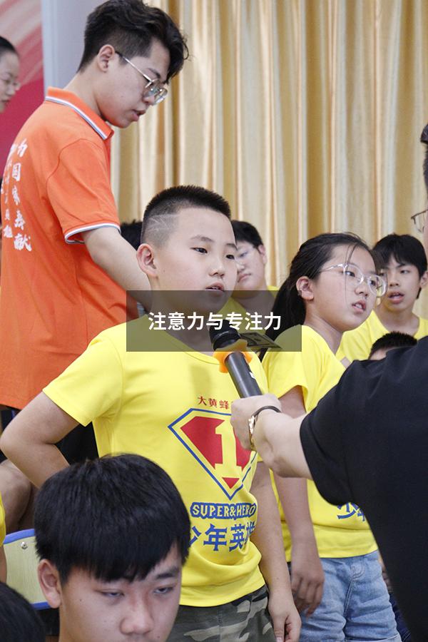 注意力与专注力