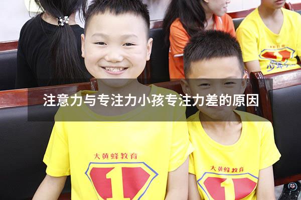 注意力与专注力（小孩专注力差的原因）