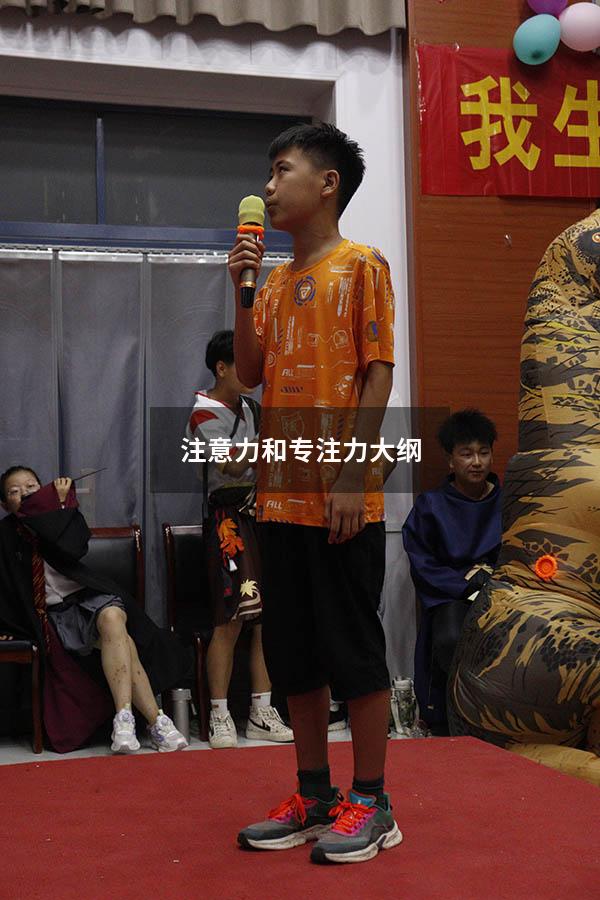 注意力和专注力大纲