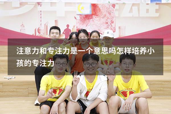注意力和专注力是一个意思吗（怎样培养小孩的专注力）