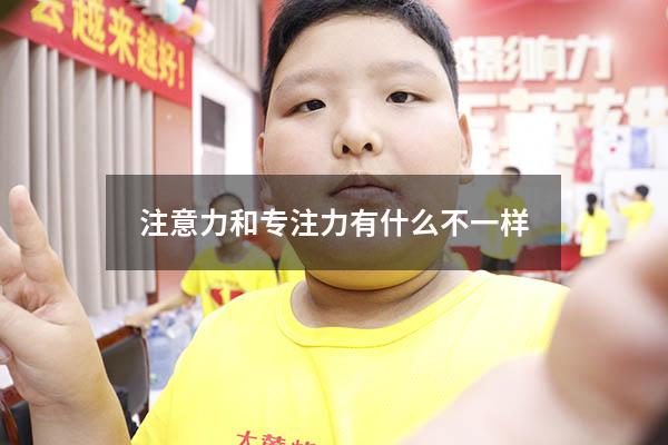 注意力和专注力有什么不一样