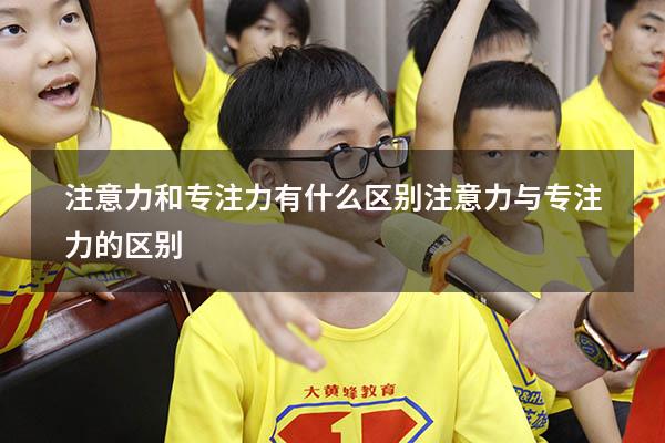 注意力和专注力有什么区别（注意力与专注力的区别）