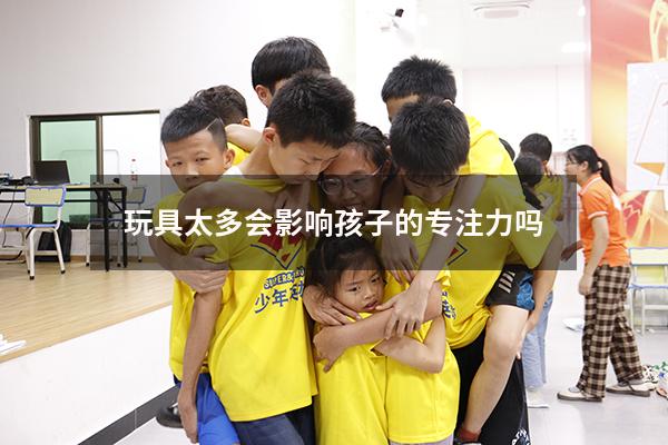 玩具太多会影响孩子的专注力吗