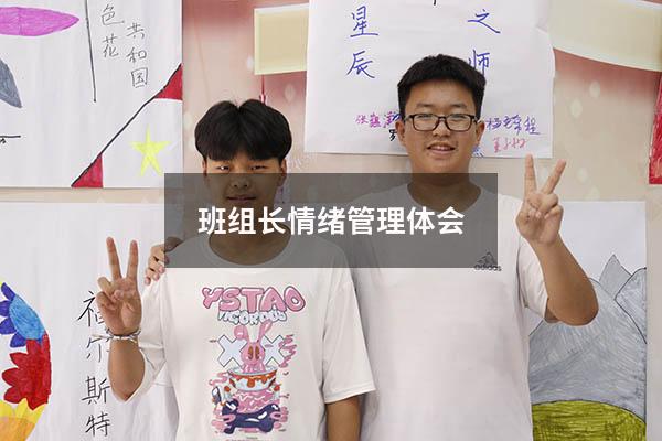 班组长情绪管理体会