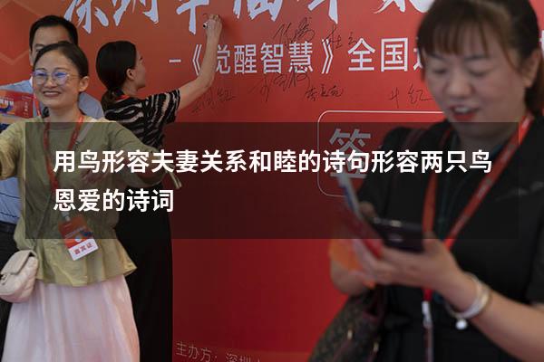 用鸟形容夫妻关系和睦的诗句（形容两只鸟恩爱的诗词）