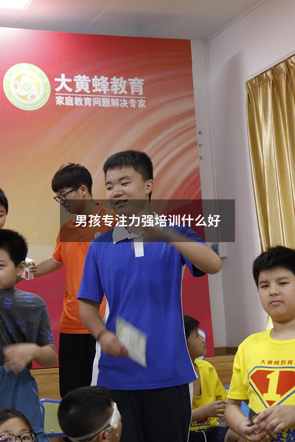 男孩专注力强培训什么好