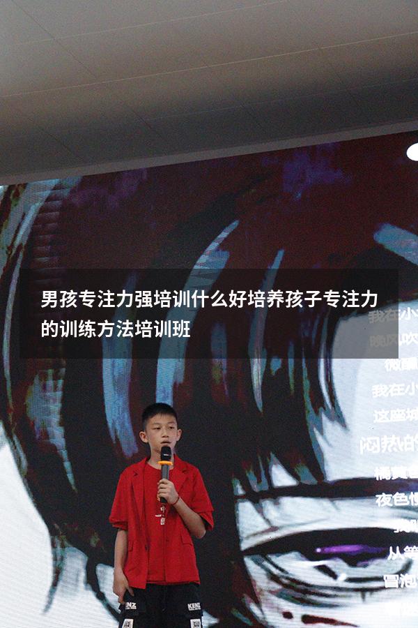 男孩专注力强培训什么好（培养孩子专注力的训练方法培训班）