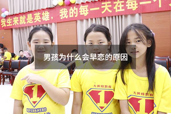 男孩为什么会早恋的原因（男孩早恋原因有三种）