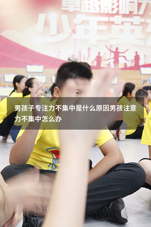 男孩子专注力不集中是什么原因（男孩注意力不集中怎么办）