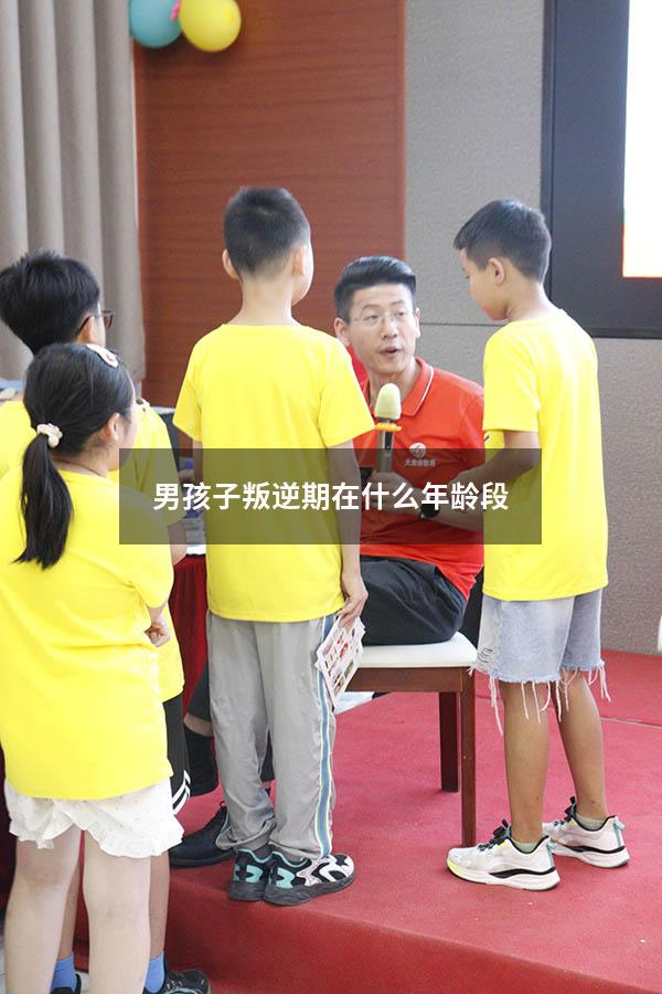 男孩子叛逆期在什么年龄段