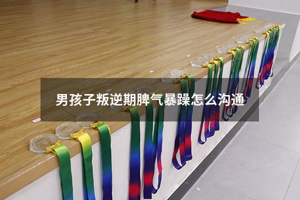 男孩子叛逆期脾气暴躁怎么沟通（青春期的男孩子叛逆该怎样教育）