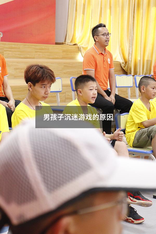 男孩子沉迷游戏的原因